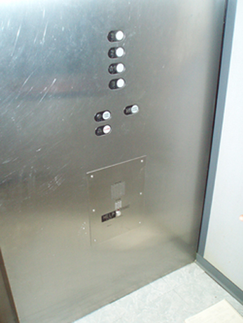 Picture 5