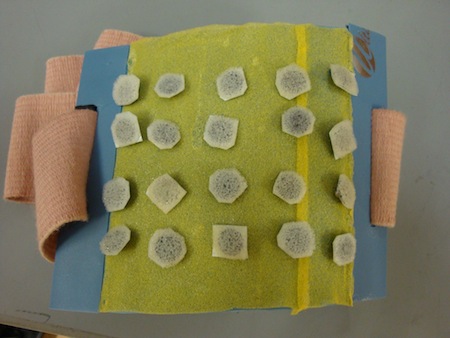 Project prototype