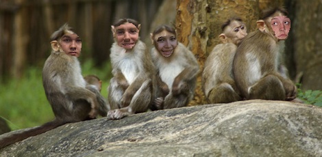 Team picture