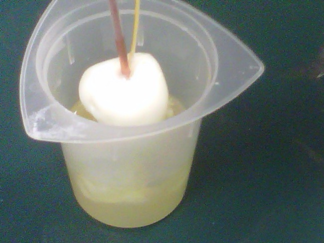 Our final design is a mixture of egg white and albumin protein.  The albumin not only provides more protein to be denatured but also decreases the dielectric properties to better match that of the liver. The ablation zone, the cooked white ball, is clearly visible throughout the ablation.