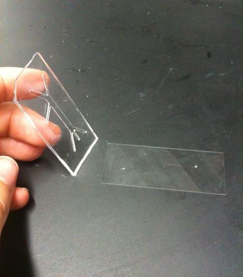 Microfluidic device created using one of Greg's (Kreeger Lab) masters. We used this to test integration of the PDMS to the glass surface to make sure we didn't have any leak issues.