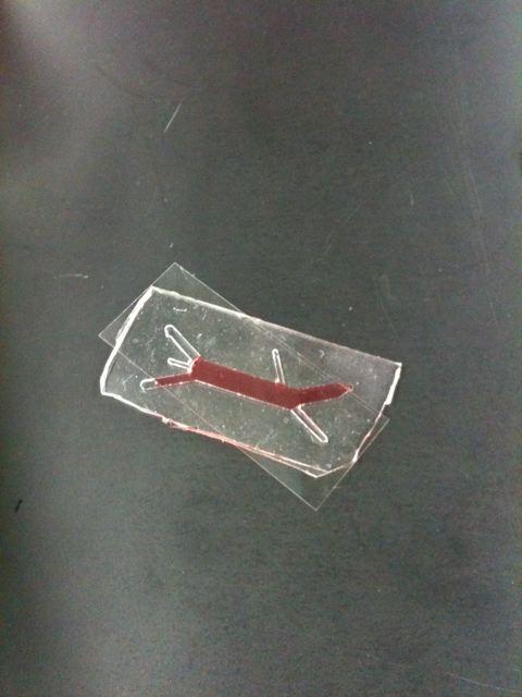 Red food coloring was added to water. We injected this fluid into one end of microfluidic device and allowed it to flow out the other end. From this, we determined the non-covalent adherence of PDMS to glass would be adequate enough to ensure a water tight seal throughout the cell culture channels.