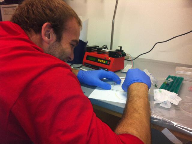 AJ connecting inlet and outlet tubes to our microfluidic device so we can optically and fluorescently analyze flow properties and dynamics.