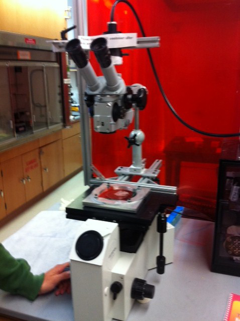 A current alignment device.