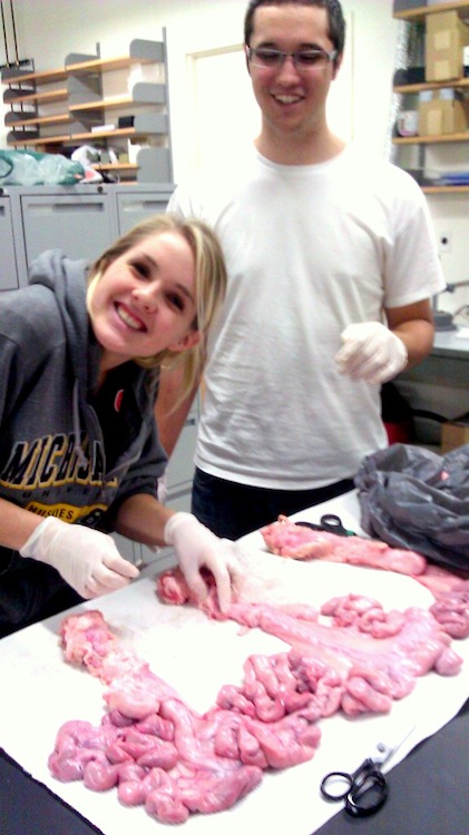 Pigs uterus was used to test our prototype.