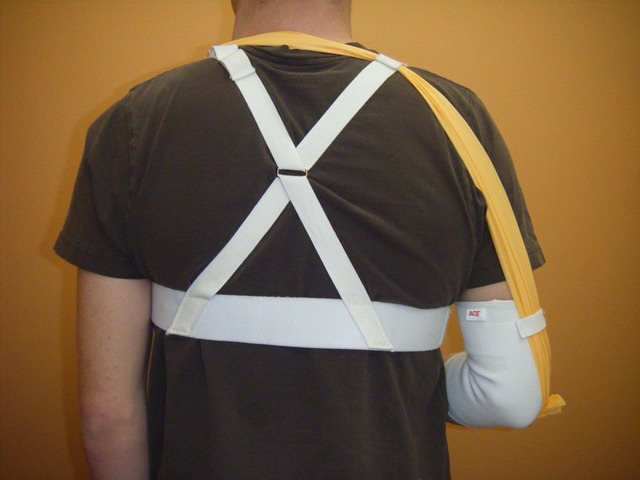 Final Design (back)