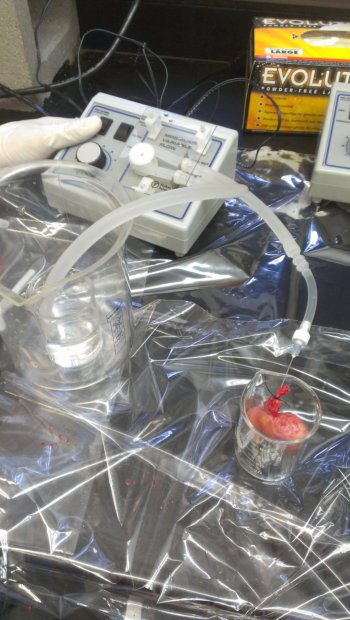 Experimental Set-up
