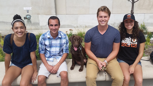 Team members from left to right: Isa Griffay, Brian Frino, Justin Faanes & Brenda McIntire