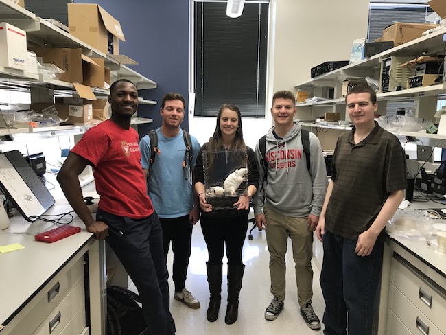 Team members from left to right: Alli Abolarin, Tim Lieb, Emmy Russell, Luke DeZellar, Albert Anderson